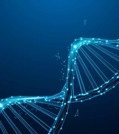 design-sans-titre-46-1@2x