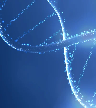 design-sans-titre-47-1@2x